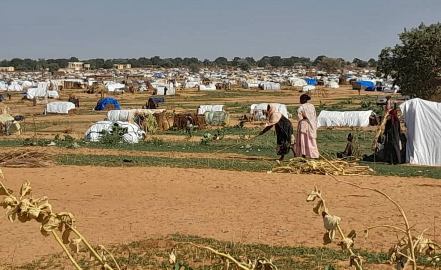 Sudan: Actions Against Senior Rapid Support Forces Commanders in Sudan