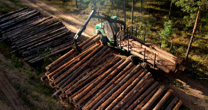 Kenyan Government Unveils Toll Free Hotline for Reporting Illegal Logging