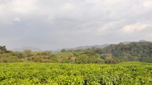 Rwandans celebrate five new World Heritage sites