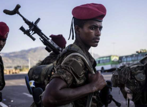 Criticism as UN-backed probe into Ethiopia to end