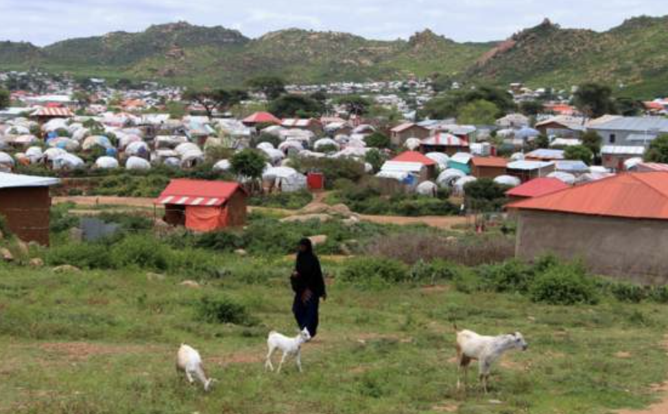  US resumes food aid to refugees in Ethiopia