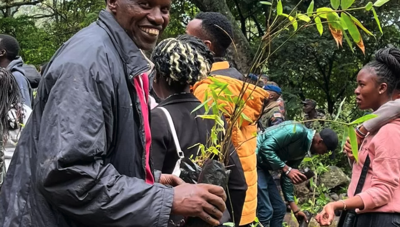 Kenyans get tree-planting holiday to plant 100 million seedlings