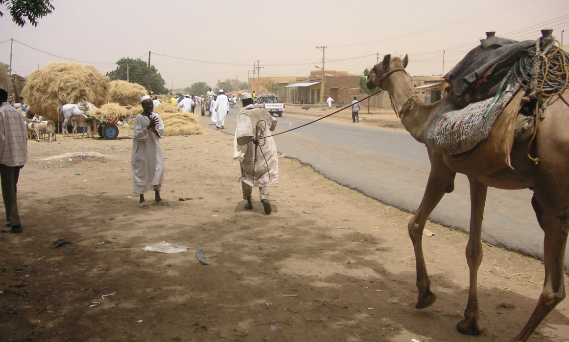 Fears Grow of 'Catastrophic Bloodbath' Should RSF Advance On North Darfur Capital