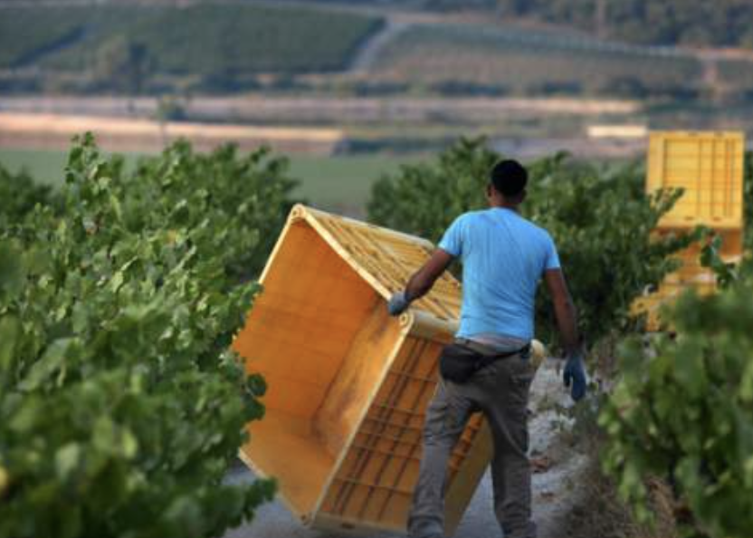 Criticism as Malawians sent to work on Israeli farms