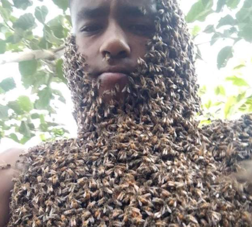 Ethiopia: 'I whisper to the bees - they understand who I am'