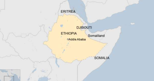 Eritrea 'voices support for Somalia' amid Ethiopia row