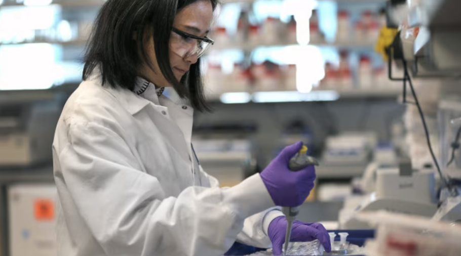 Moderna puts plans for African vaccine plant on hold