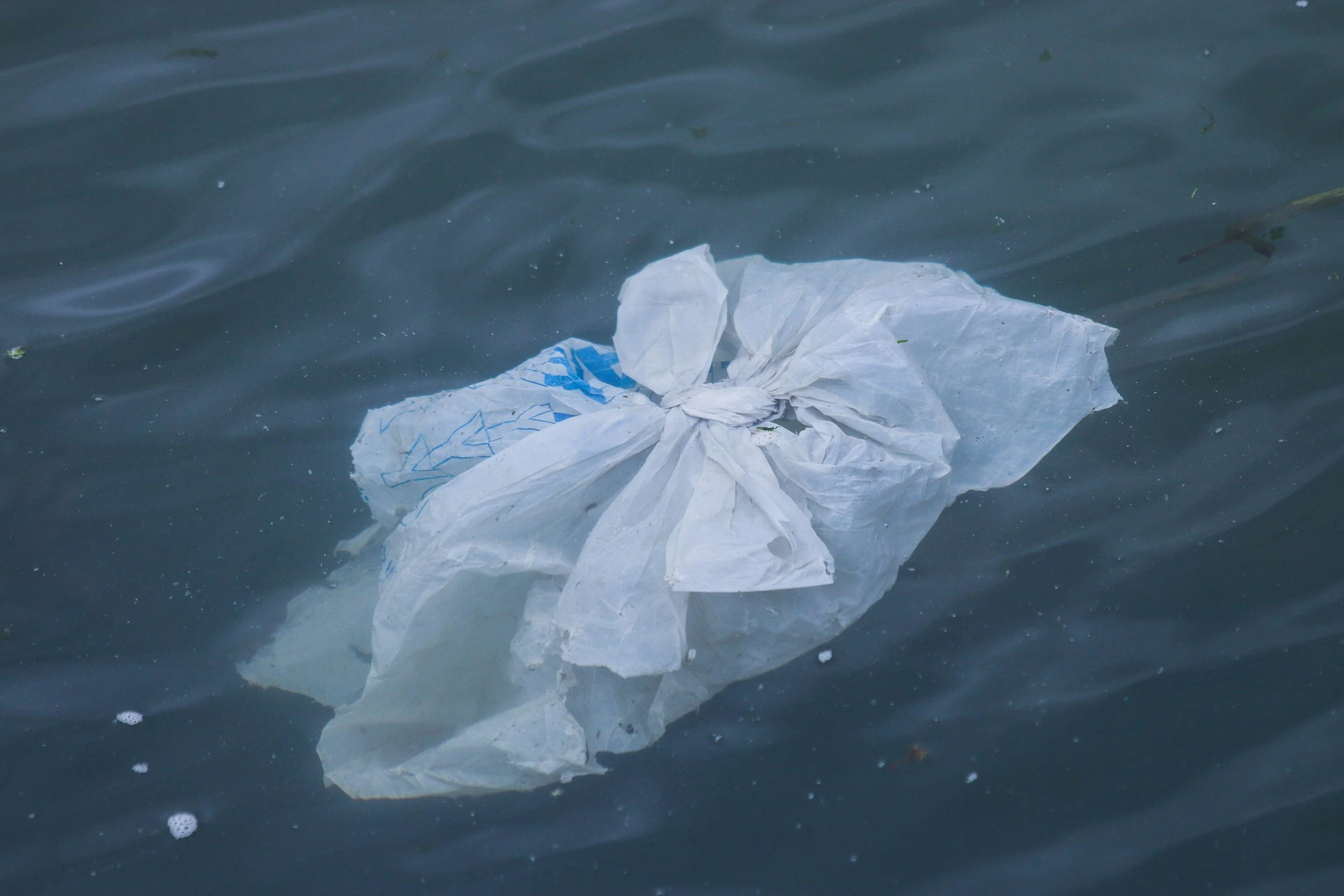 Kenya bans plastic bags for organic rubbish