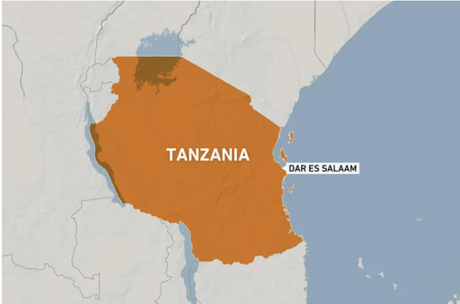 Slain Tanzanian opposition figure beaten, doused with acid: Party