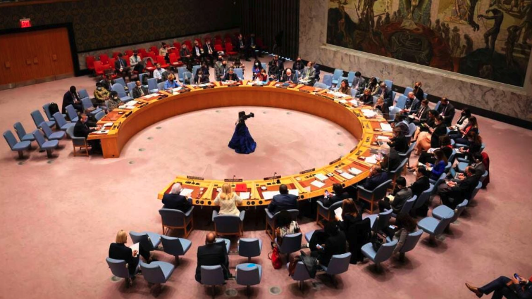 Why Africa should have two permanent seats on UN Security Council