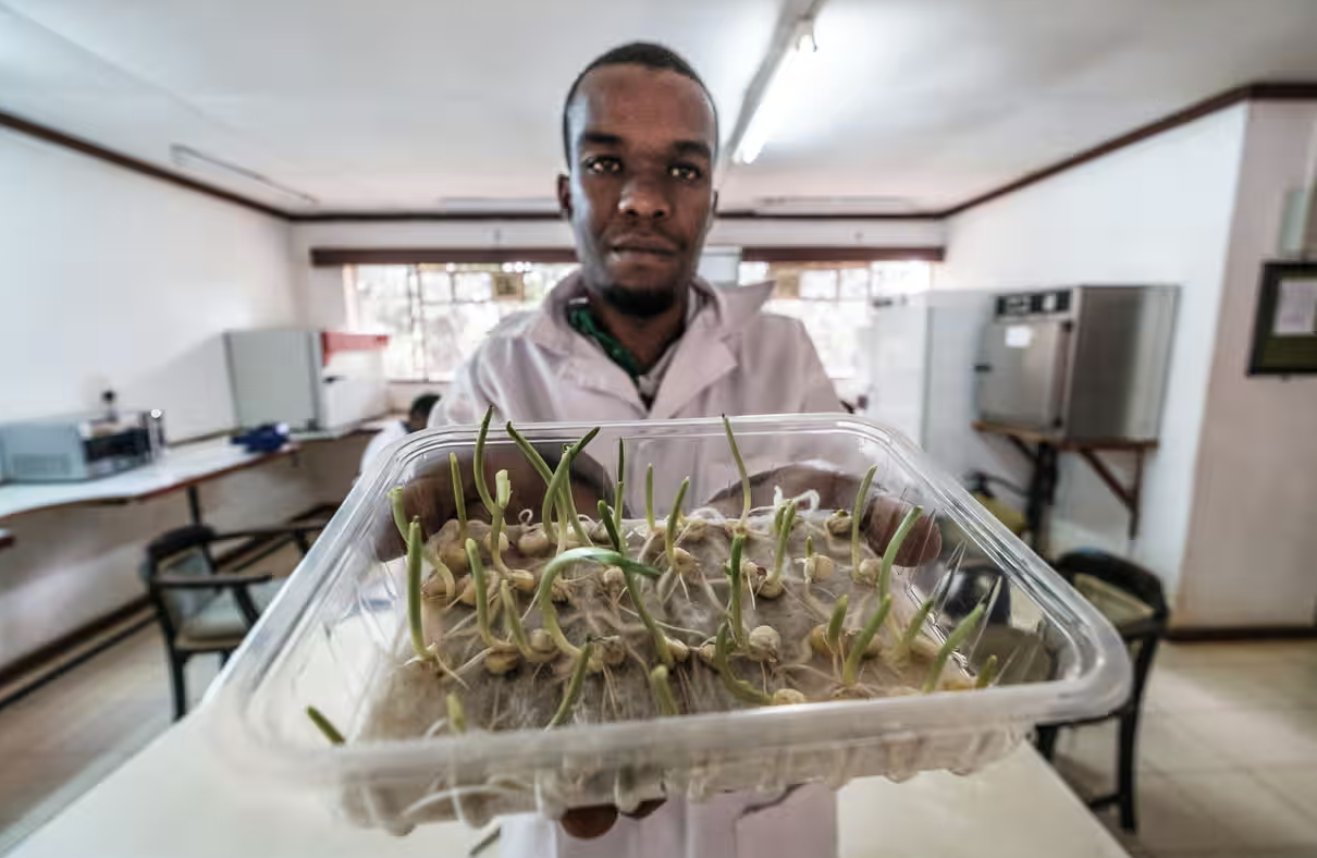  ‘Not just a museum’: Kenya’s seed bank offers unexpected lifeline for farmers