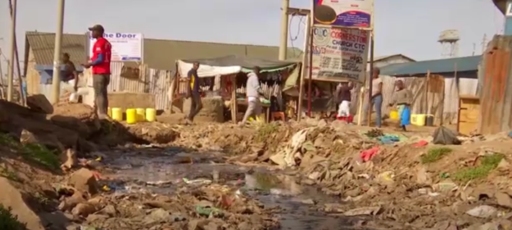 Initiative in Nairobi's Mukuru slums uses fly lavae to tackle food waste