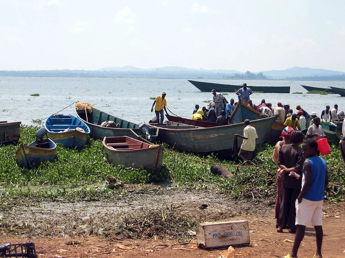 Tanzania’s marine reserves offer long-term benefits to communities, study finds