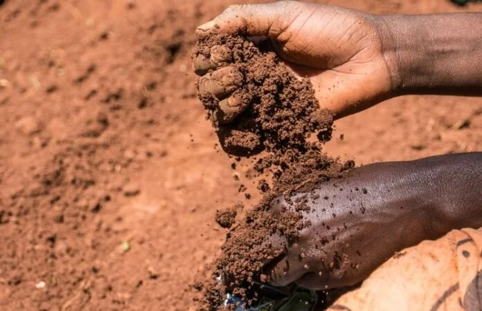 Kenyan Soil Carbon Project Suspended for a Second Time