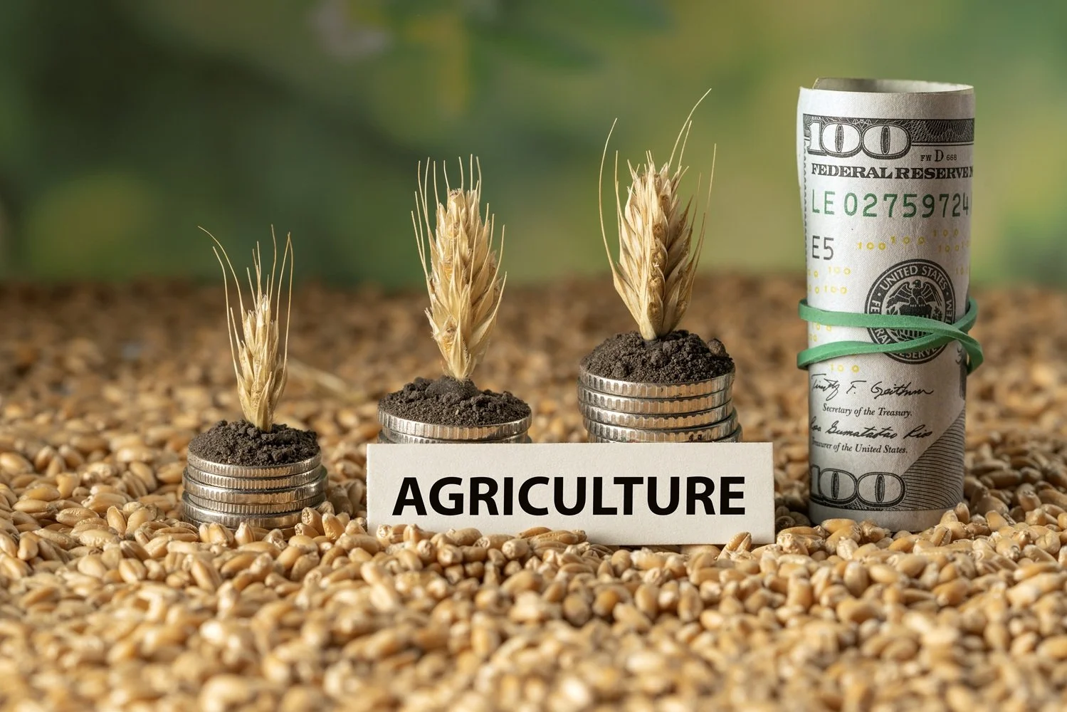 Uganda: Agriculture Sector Budget for 2025/2026