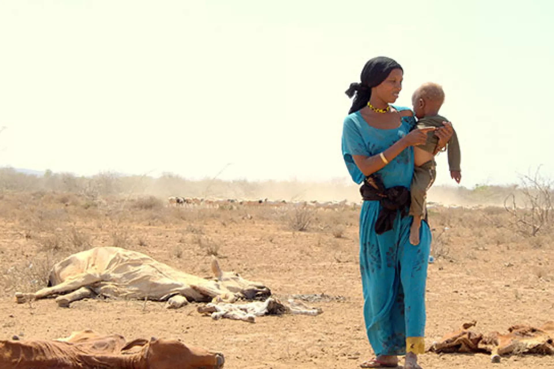 East Africa faces deepening humanitarian crisis as drought and food insecurity escalate