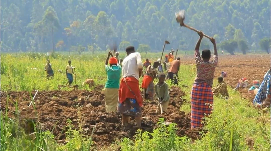 Uganda: Govt Issues Weather Advisory to Help Farmers Navigate Seasonal Changes