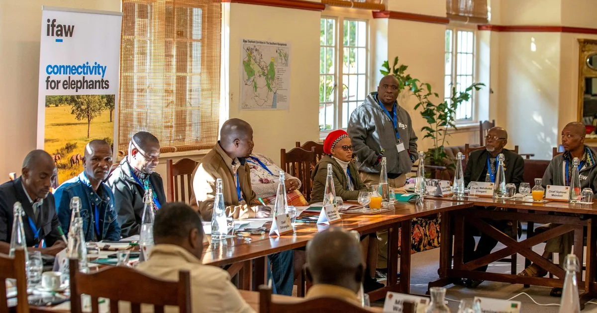 The Unseen Architects: Why Traditional Leadership is the Backbone of African Conservation