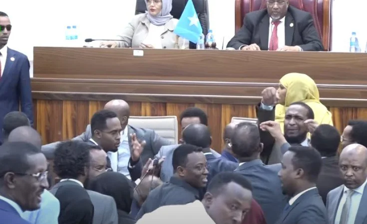 Somalia: Somali Parliament Approves Official Constitution After Comprehensive Review