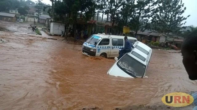 Uganda: Kampala Youth Pledge Individual Responsibility in Climate Change Fight