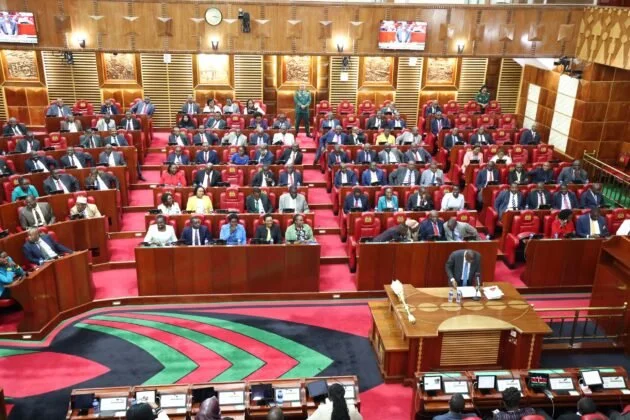 Kenya: MPs Raise Alarm Over Rise of Political Gangs Ahead of 2027 General Election