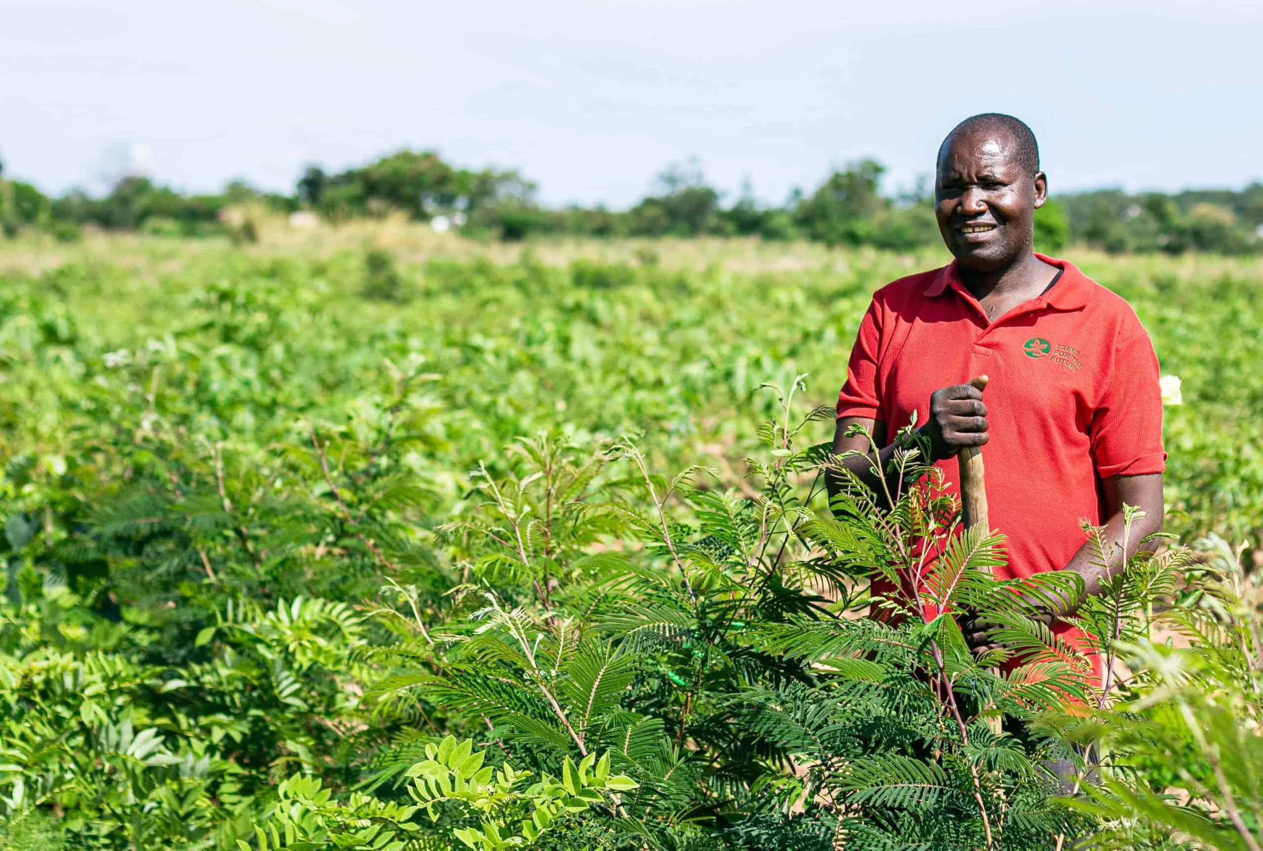 Tanzania: Indigenous Seeds Gain Ground As Farmers Challenge Modern Dependence