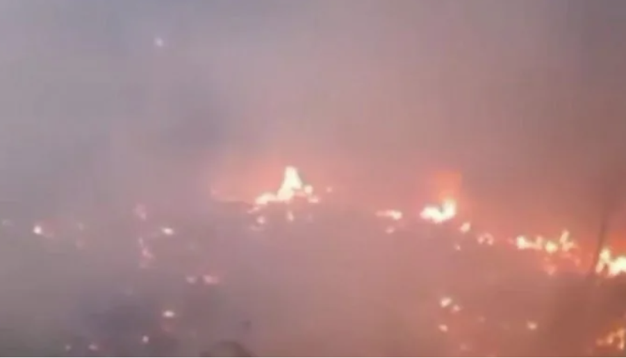 Kenya: Market Fires Highlight Need for Business Insurance, SMEs Told