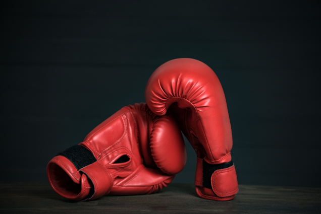 Tanzania: Tz Boxing Team Confident Ahead of Commonwealth Games