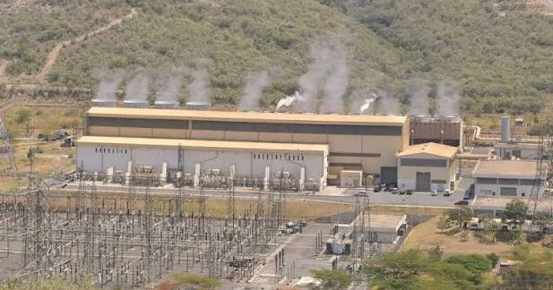 Kenya: Fish Feed Firms to Invest Sh510mn At Kengen's Olkaria Park