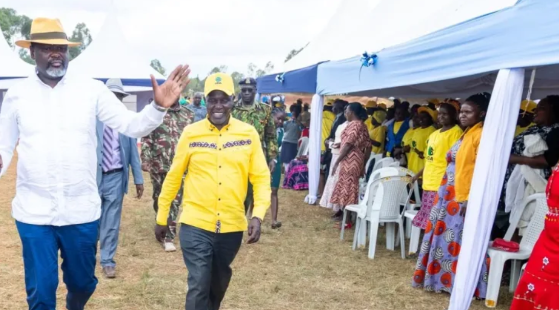 Kenya: Ruku Tells ODM to Stop Speculation Over Deputy President's Position