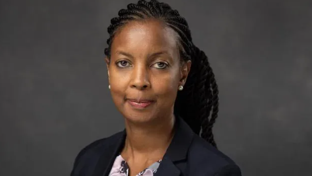 East Africa: Ex-Airtel Money Kenya CEO Anne Kinuthia-Otieno Named Visa East Africa Head