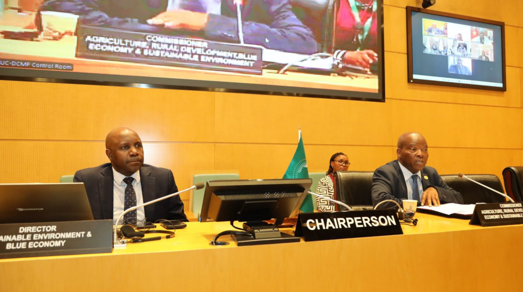 Africa: AU Urges Continent to Bolster Preparedness to Mitigate Potential Impacts of 2026 El Niño