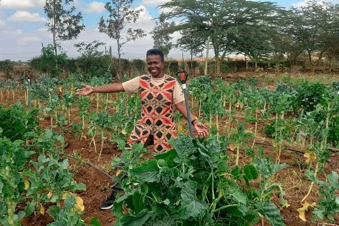  Kenya: Agroecology Experts Urge Kenyan Farmers to Organise, Harness Local Knowledge for Sustainable Farming