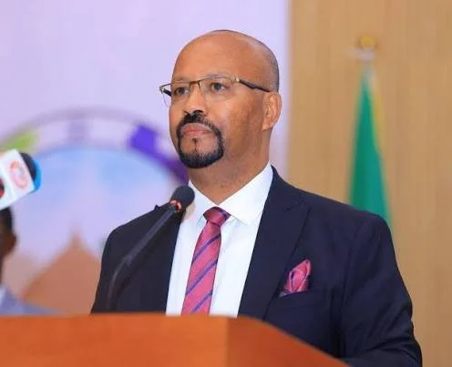 Ethiopian Ambassador Accuses Eritrea of Violating Ethiopia's Sovereignty