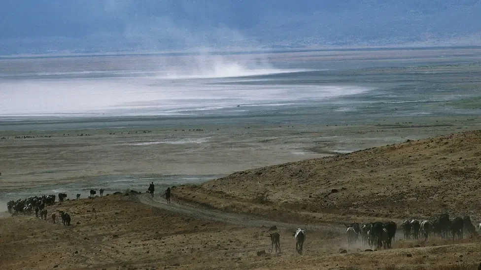 Tanzanian rangers arrested as police investigate death in national park