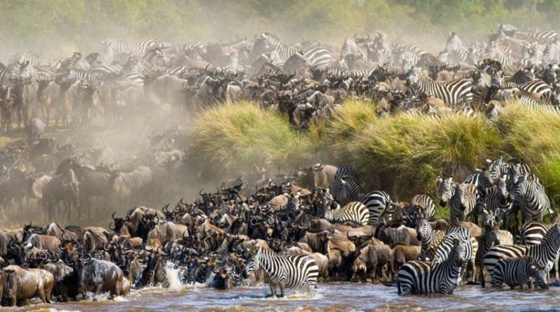 Kenya: MPs Opposes Proposed Merger of Tourism Research Institute and Kenya Tourism Board