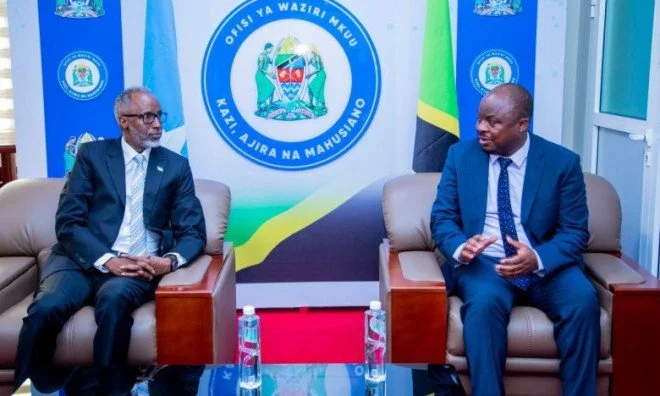 Somalia Eyes Tanzania's E-Governance Model