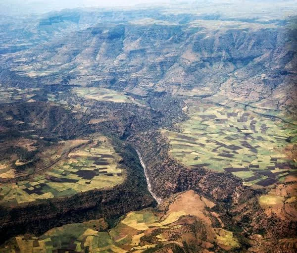 Ethiopia: Massive Promises, Empty Fields - the Multi-Billion-Dollar Unsuccessful Saudi Project in Ethiopia