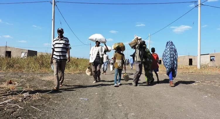 Djibouti Faces Fresh Pressure As 1,400 Yemenis Arrive Amid Escalating Conflict