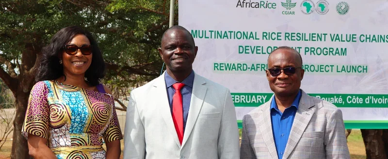 African Development Bank to Host Civil Society Open Day in Mauritius