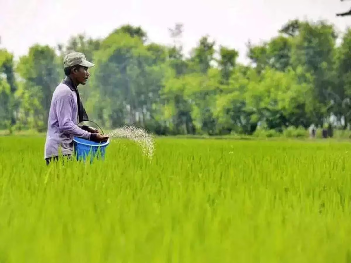 Tanzania: Fuel, Fertiliser Subsidies to Ease Inflation