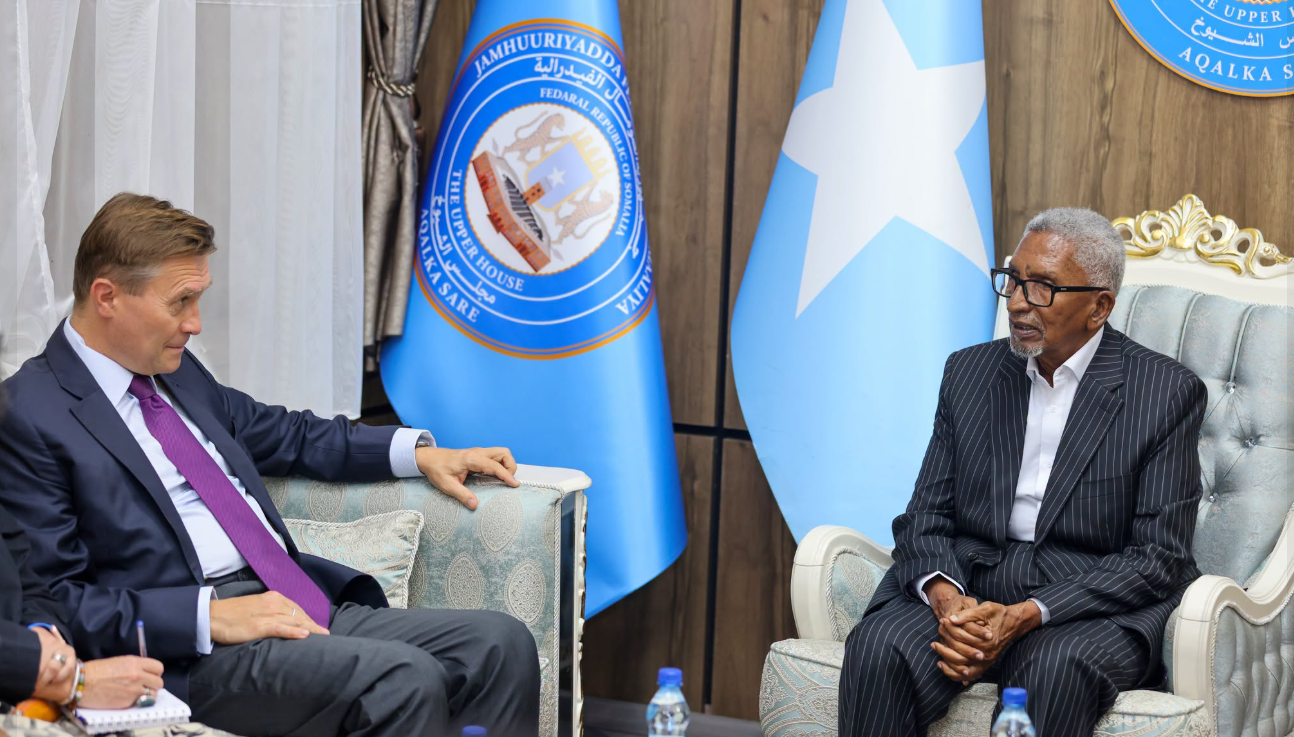 Somalia: Somali Upper House Speaker Meets New EU Ambassador in Mogadishu