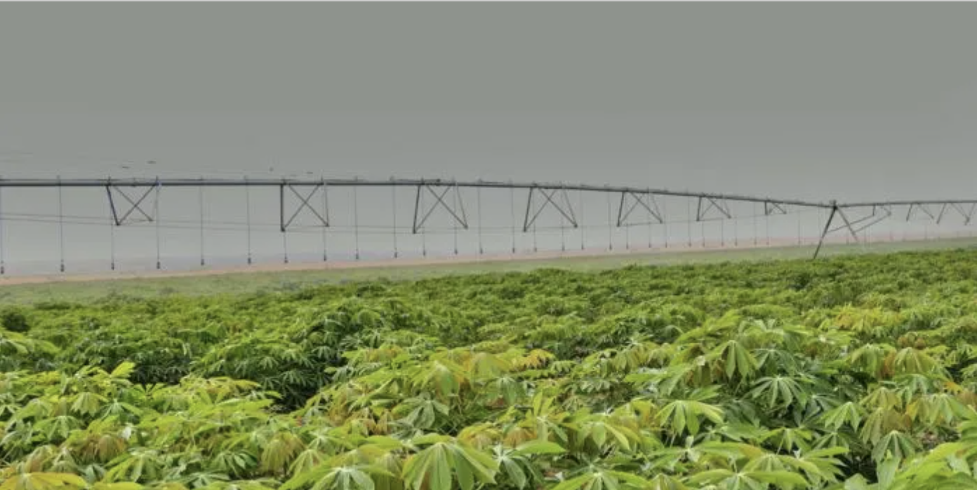 Kenya: Equity Bank Backs Sh13bn Galana-Kulalu Farming Expansion