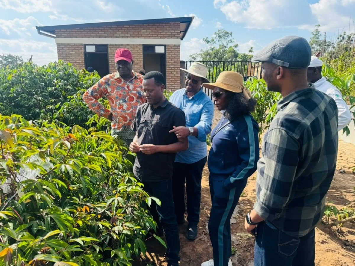  Rwanda's Coffee Success Must Deliver More Value to Farmers, Says Industry Expert