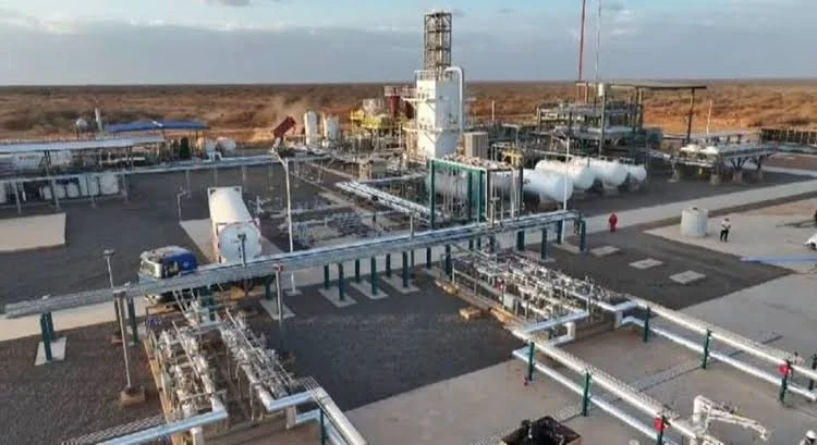Ethiopia: Dangote Hires Spanish Firm for Ethiopia's $4 Billion Fertiliser Project