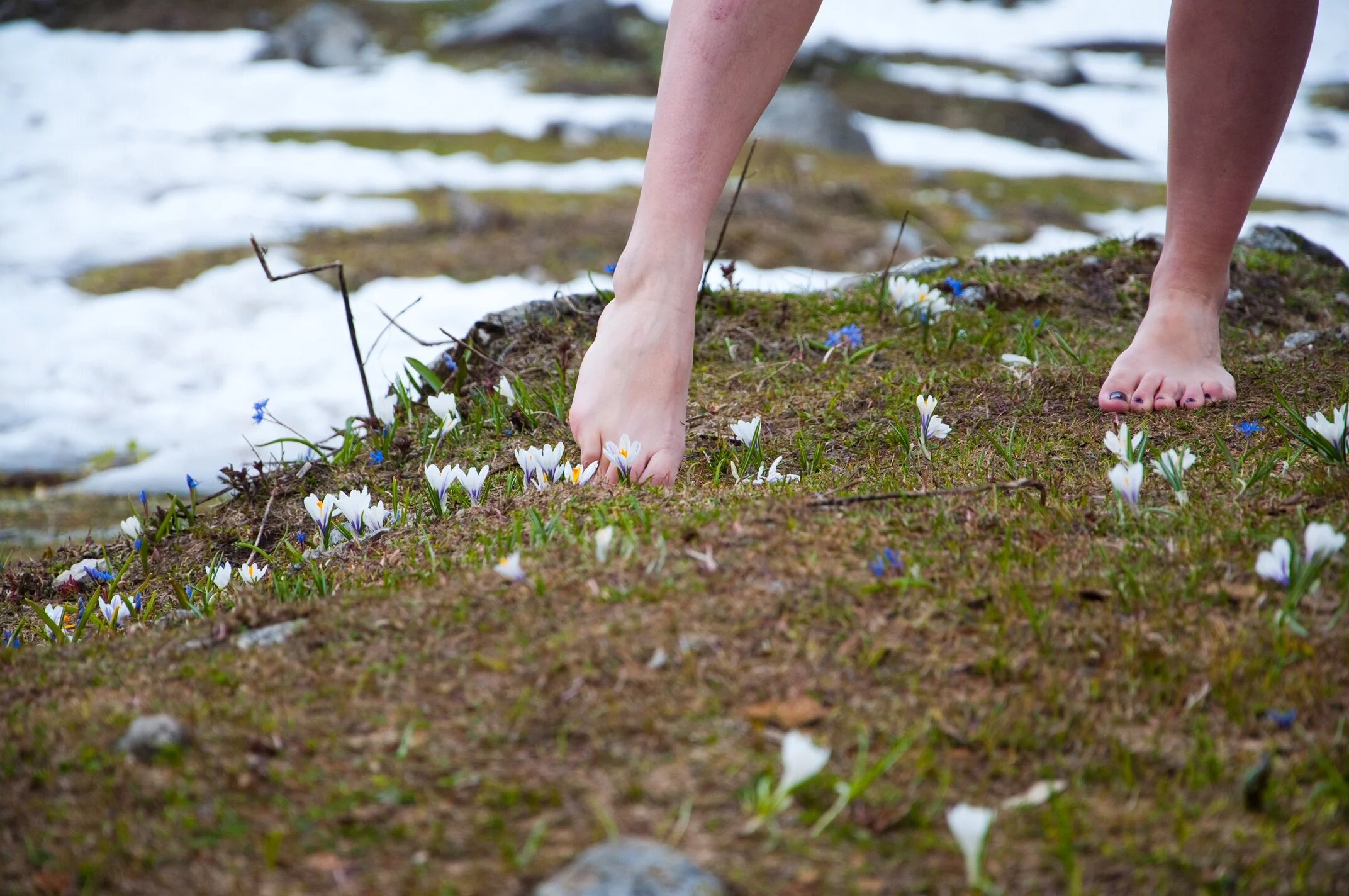 Grounding + Welcome 