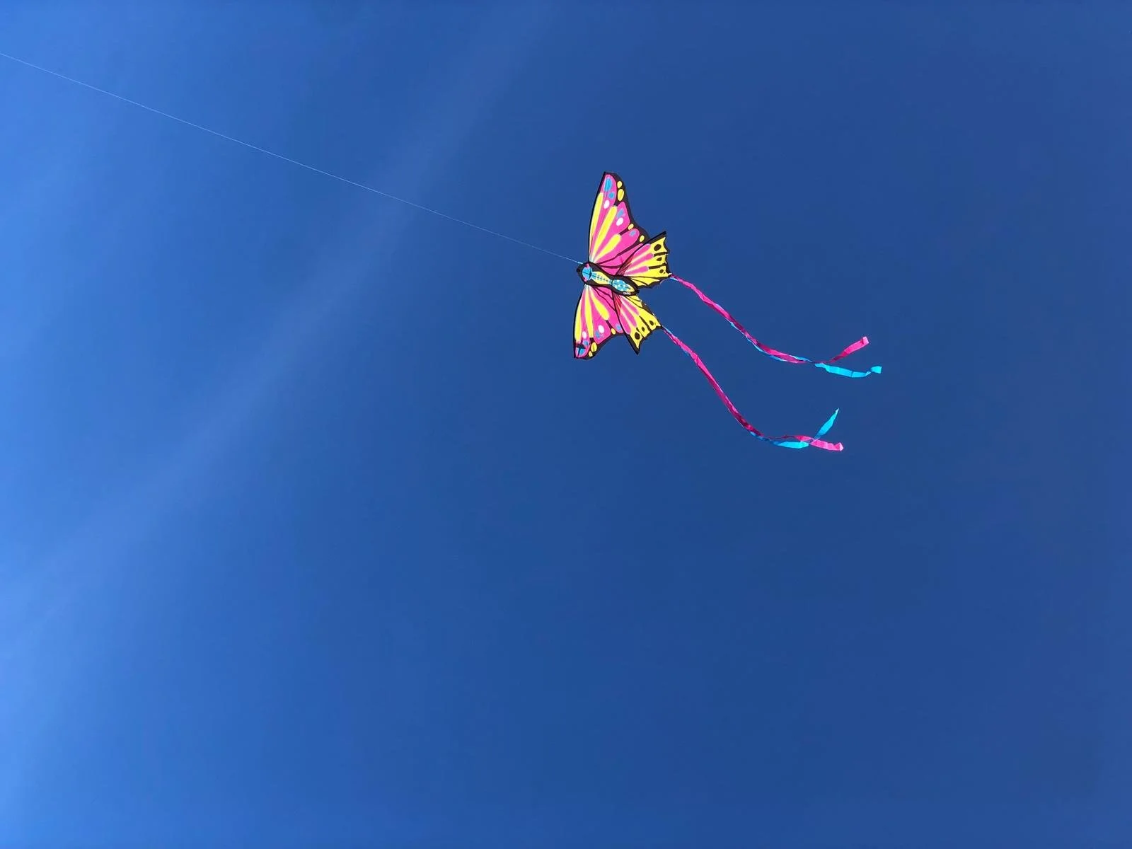 Cuidados Paliativos Pediátricos