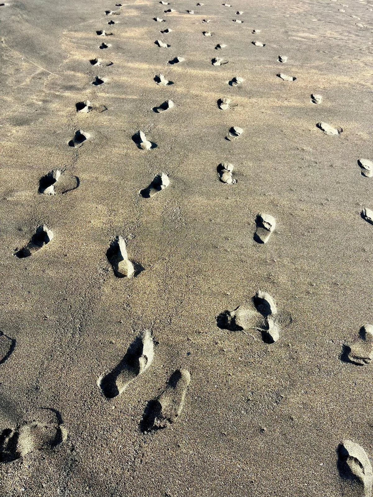 Acompañar en el duelo