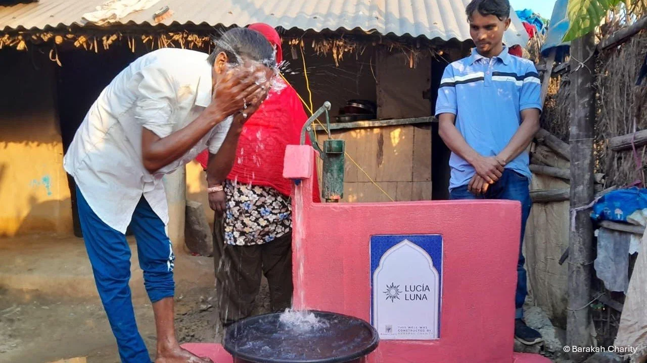 Las fuentes de la vida: Y Lucía Luna se independizó. 