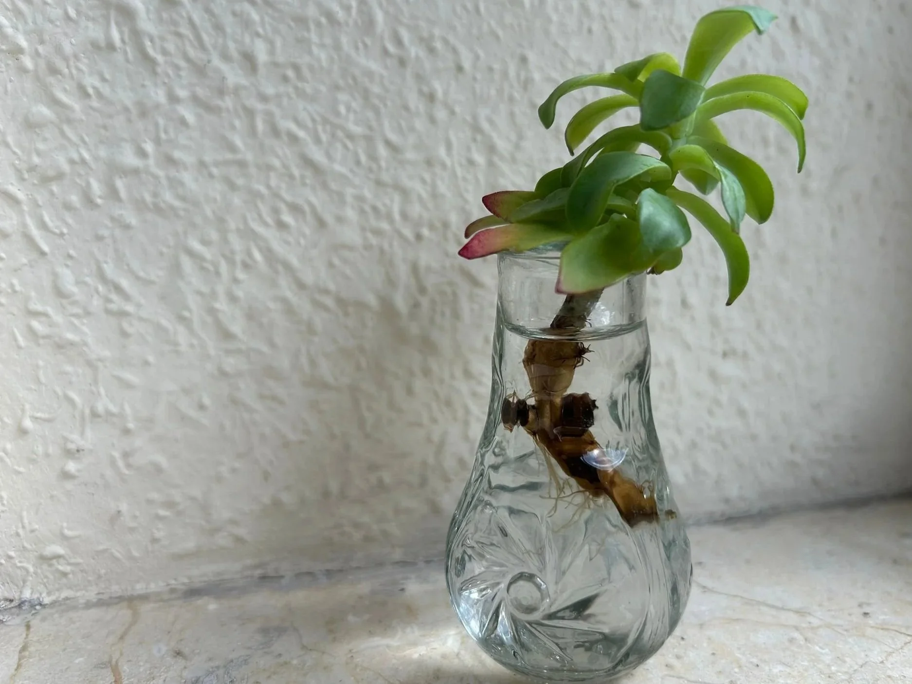 Vivir: Un viaje con pérdidas, crecimiento y esperanza 